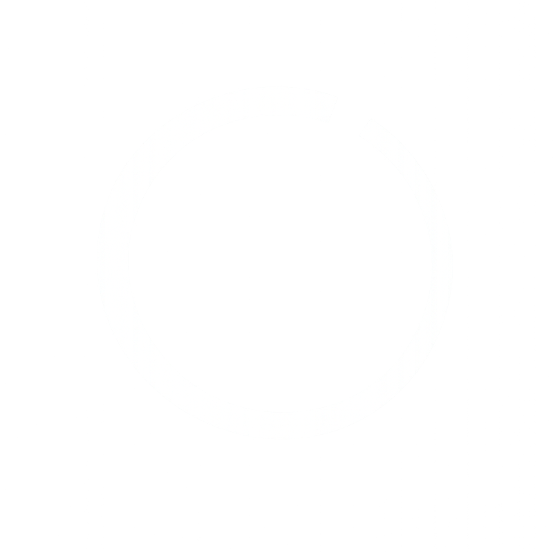 Dry Signal Studio Logo